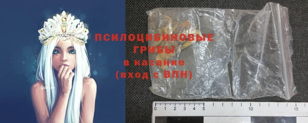 таблы Богородицк