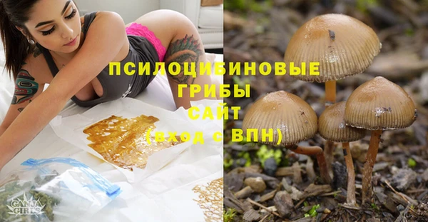 прущий лед Богородск