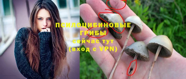 прущий лед Богородск